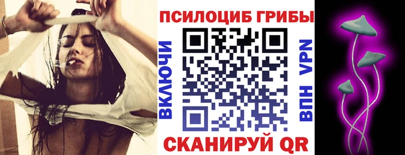 Купить где  Тосно  Псилоцибиновые грибы мицелий 